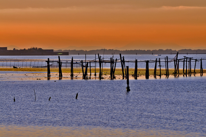 Immagine:Bassa marea - laguna di Venezia.jpg
