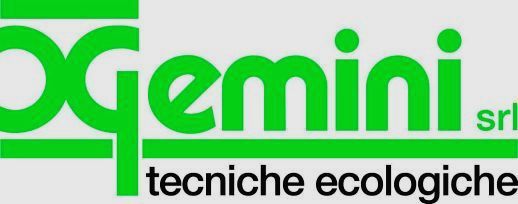 Immagine:Logo gemini.jpg