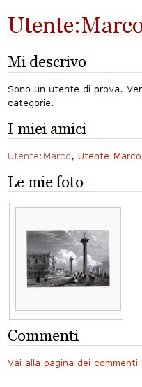 Immagine:Esempio utente.jpg