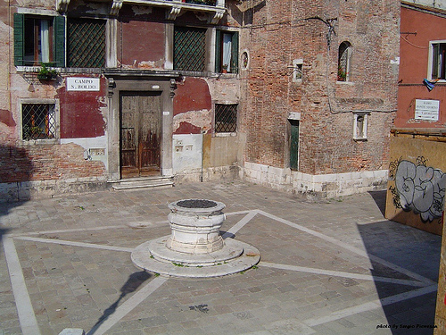 Immagine:Cat campi.jpeg