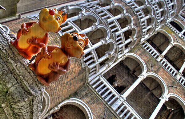 Immagine:Cip e Ciop alla Scala del Bovolo.jpg