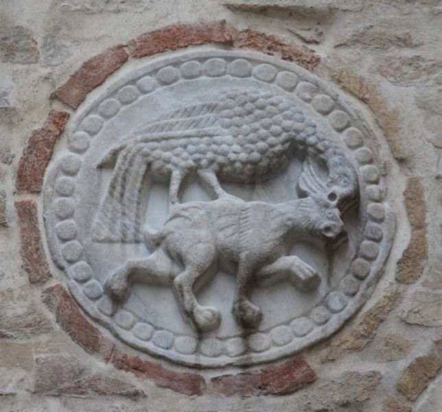 Immagine:DD245A.jpg