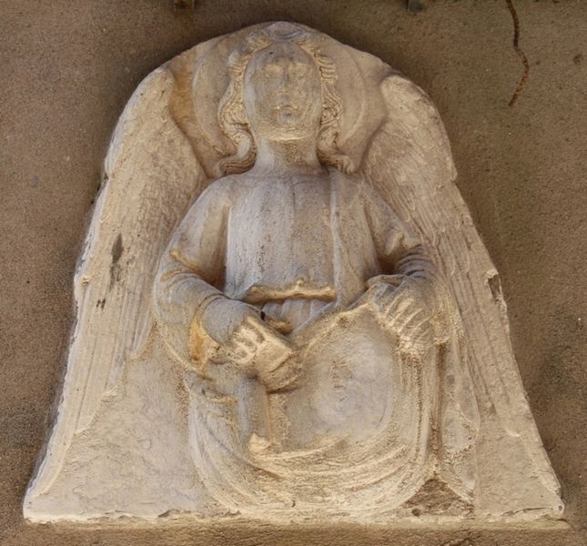 Immagine:SM263.jpg