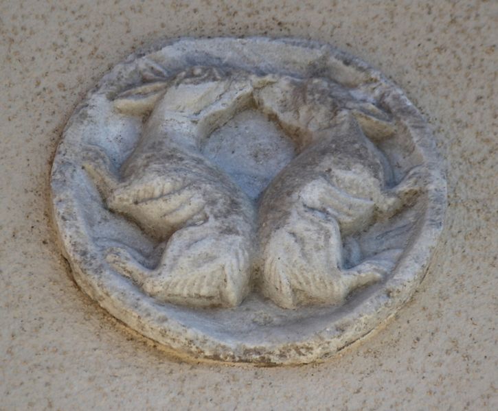 Immagine:CS221A.jpg
