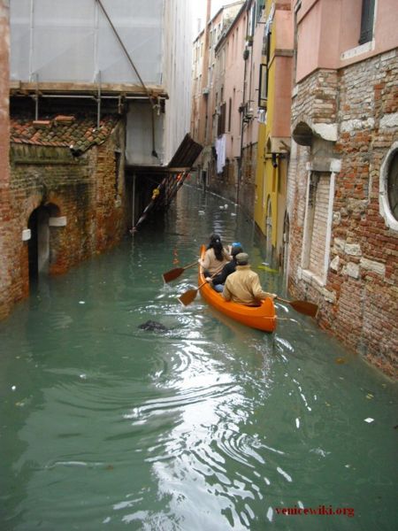 Immagine:Acqua-alta-1dicembre08-in-canoa-venicewiki.org.jpg