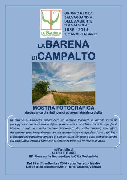 Immagine:Barena di Campalto.jpg