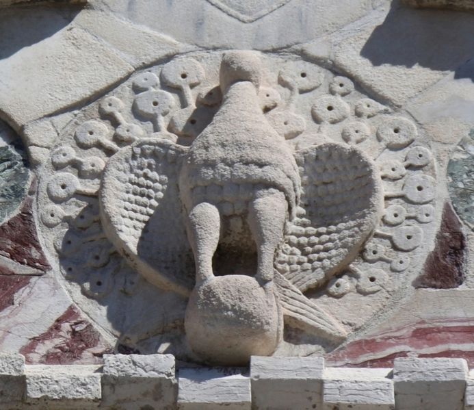 Immagine:CS219.jpg