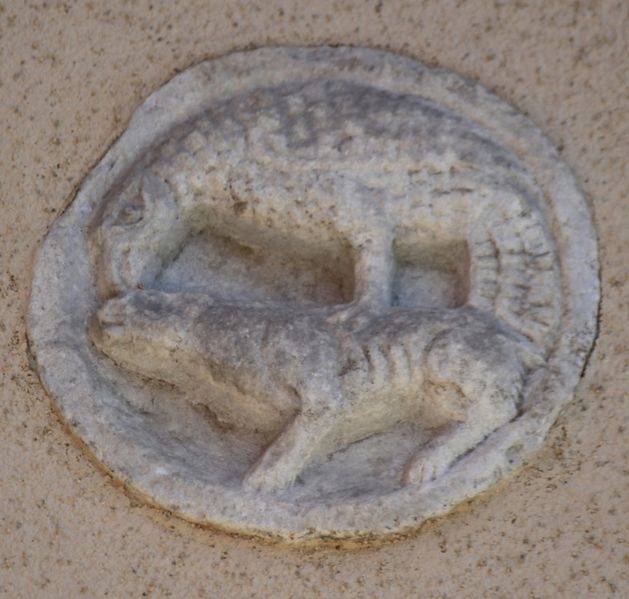 Immagine:CS221B.jpg