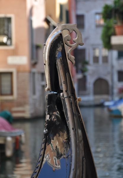 Immagine:Riccio posteriore.jpg