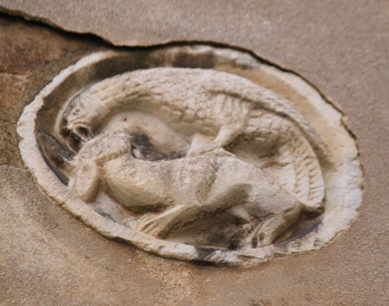 Immagine:SM66C.jpg