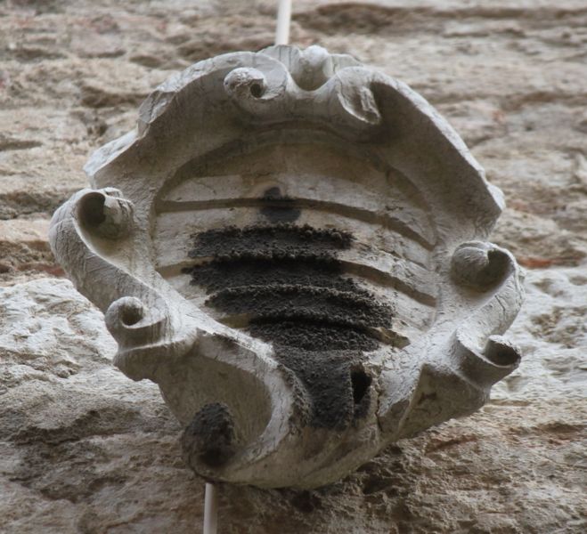 Immagine:CS295.jpg