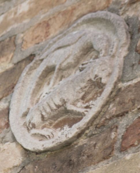 Immagine:SM136E.jpg