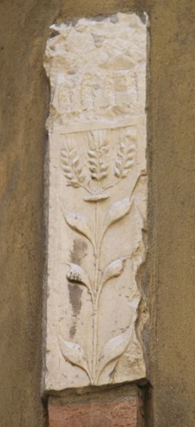 Immagine:SM120B.jpg