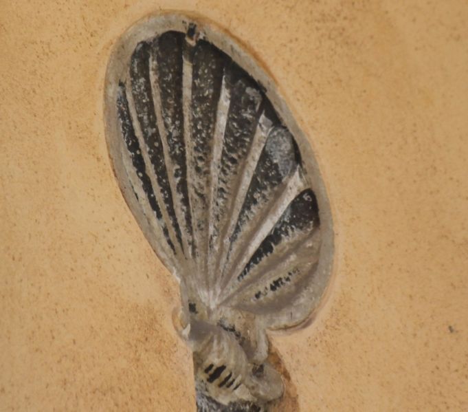 Immagine:SM171.jpg