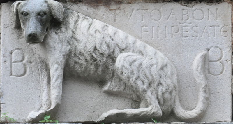 Immagine:CN 4011.jpg