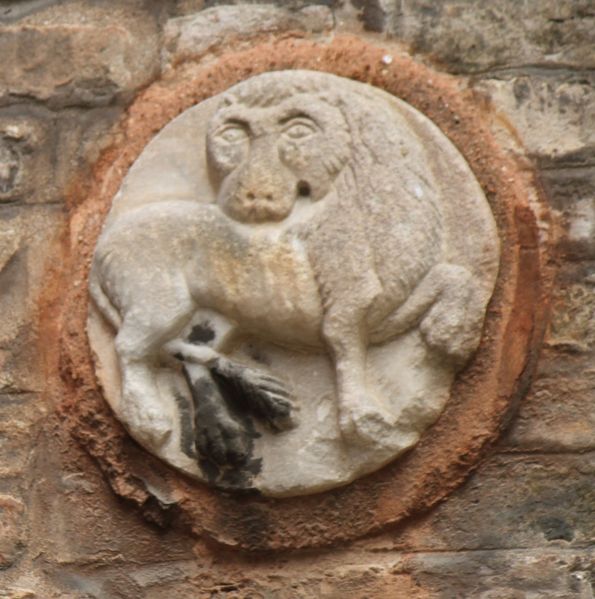 Immagine:CS340.jpg