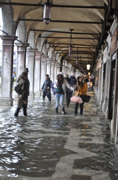 Immagine:Acqua alta Procuratie Vecchie.jpg