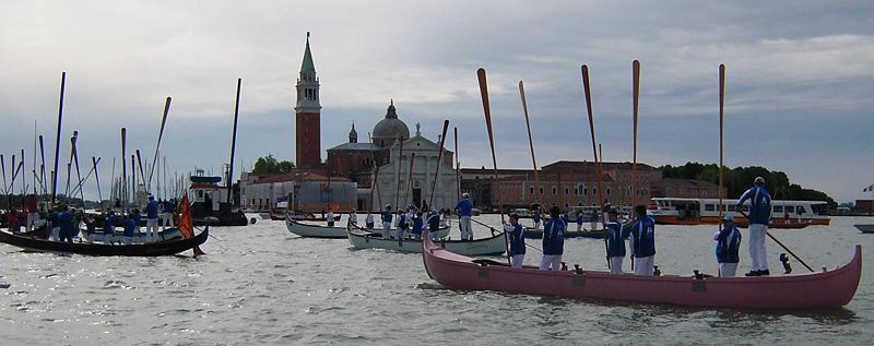 Immagine:Alzaremi 2.jpg
