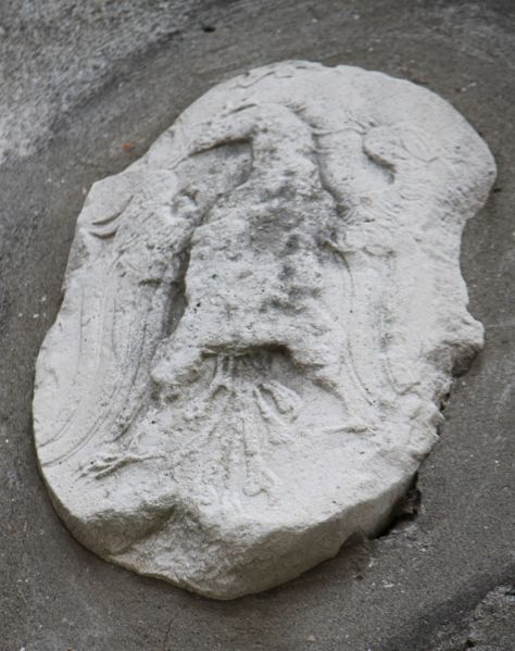 Immagine:CS335.jpg
