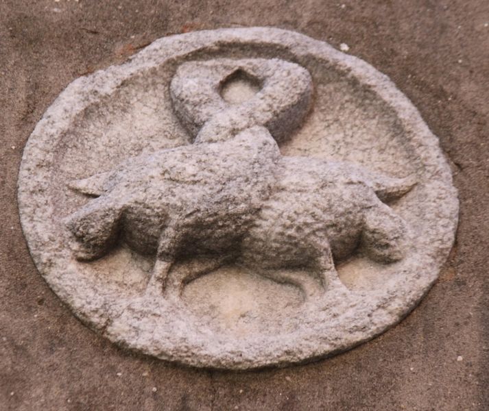 Immagine:CN173B.jpg