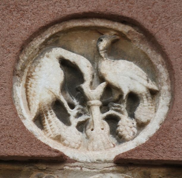 Immagine:DD219.jpg