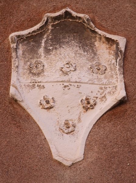 Immagine:CN81.jpg