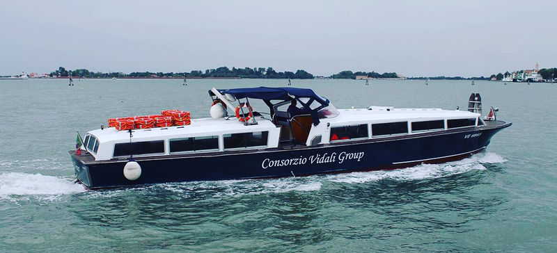 Immagine:Vidali group .jpg