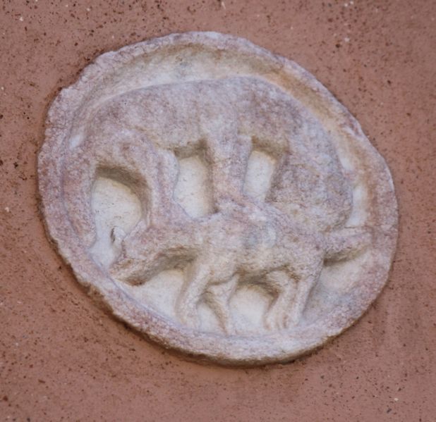 Immagine:CN66.jpg