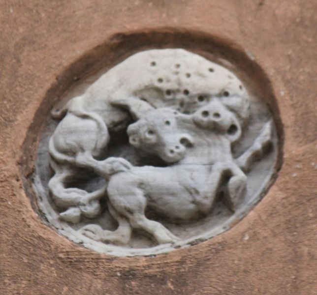 Immagine:DD243C.jpg