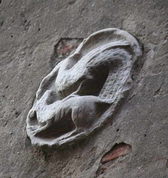 Immagine:CS264B.jpg
