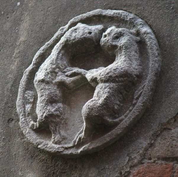 Immagine:CS264C.jpg