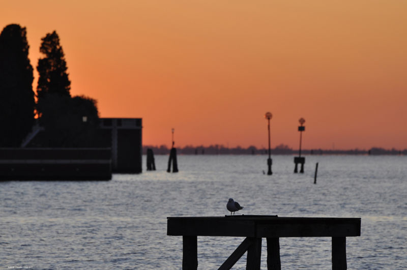 Immagine:*Tramonto .JPG