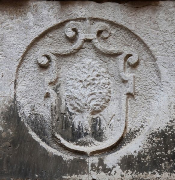 Immagine:SM135.jpg