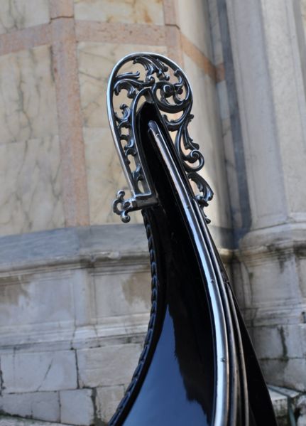 Immagine:Riccio 2.jpg