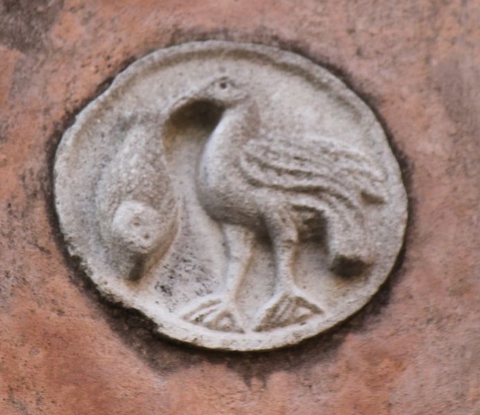 Immagine:SP293B.jpg