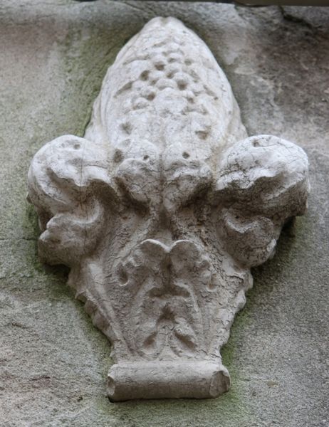 Immagine:DD255.jpg