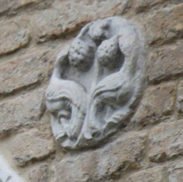 Immagine:CS224C.jpg