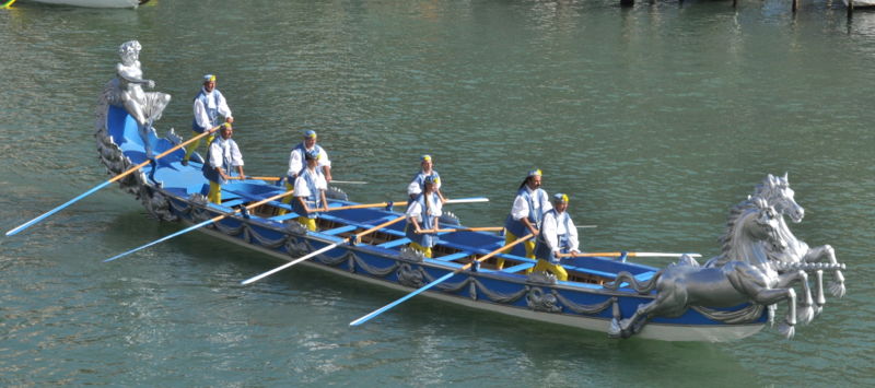 Immagine:Regata Storica 2013 Cavalli.jpg