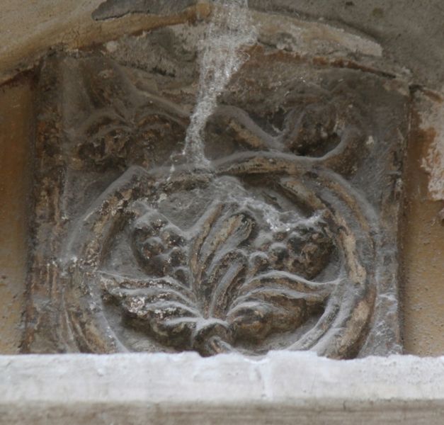 Immagine:SM295.jpg