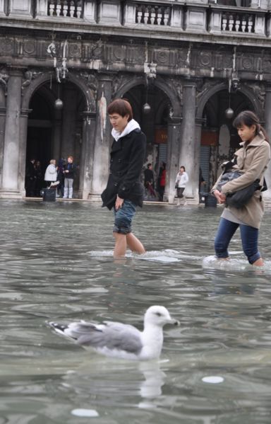 Immagine:Giapponesi e gabbiano.jpg
