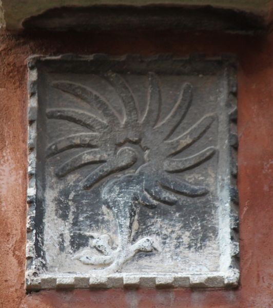 Immagine:CS279.jpg