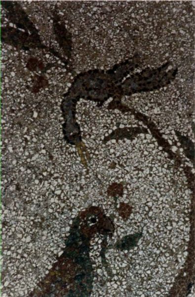 Immagine:Terrasso 5.jpg