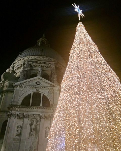 Immagine:Albero Natale Salute.JPG