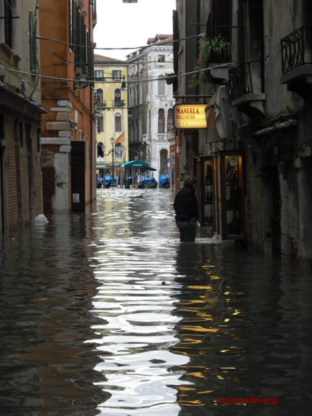 Immagine:Acqua-alta-1dicembre08-CIMG0116.jpg