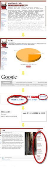 Immagine:AdsenseRevenue.jpg