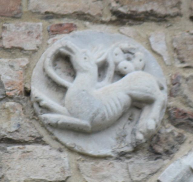 Immagine:CS224L.jpg