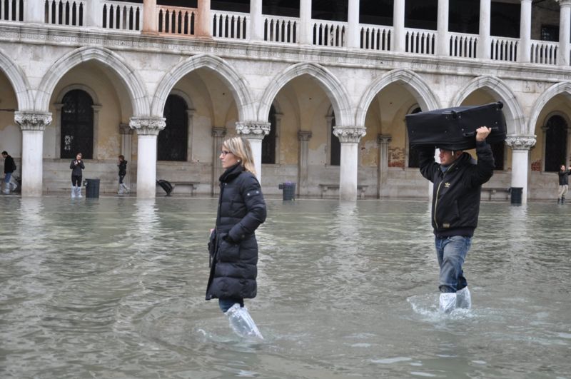 Immagine:Valigia in testa.jpg