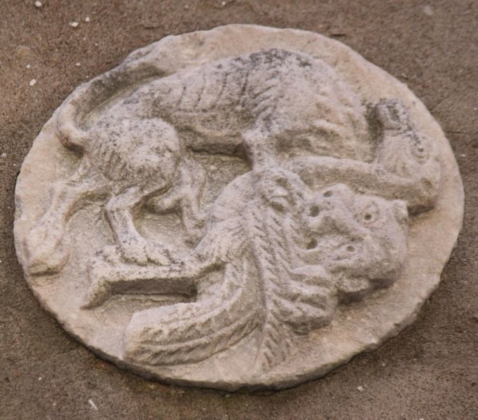 Immagine:CN173A.jpg