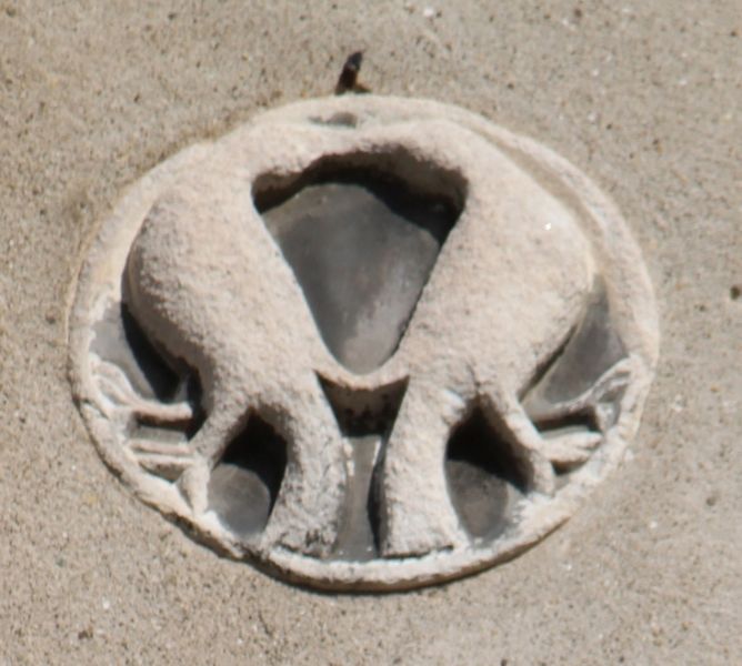 Immagine:SM20B.jpg