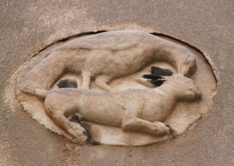 Immagine:SM66B.jpg